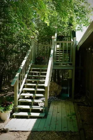 Anny's Treetop on the Quietside Mt Desert Island,& Acadia National Park