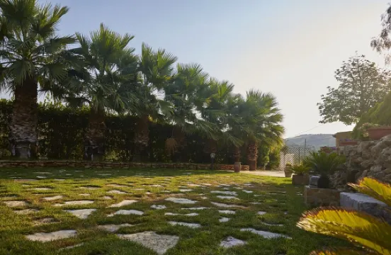 Carabollace Estate - Levante