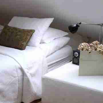 Beautiful Downtown Apartment Rooms