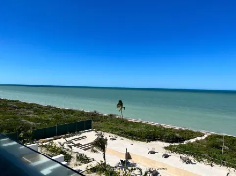 Luxury condo w/private jacuzzi and flamingo views