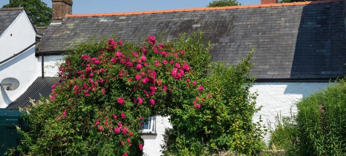 3 Horse Pool Road Hotels in Carmarthen