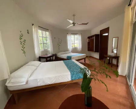 Eco-Hotel Nueva Altia Hotels in Santa Elena