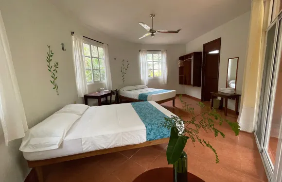 努埃瓦阿爾迪亞環保山林小屋