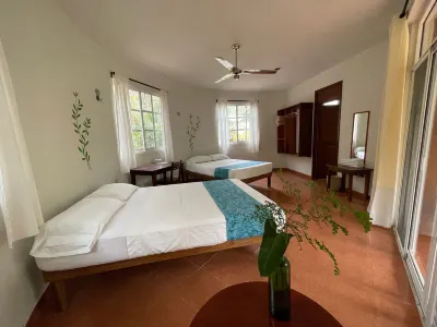 努埃瓦阿爾迪亞環保山林小屋