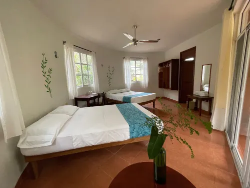 Eco-Hotel Nueva Altia Hotel a Uxmal