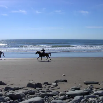 Moonlight Beach Suites