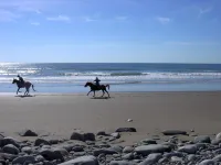 Moonlight Beach Suites