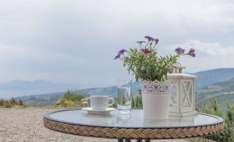 Ktima Noosfera Wellness & Retreat Center