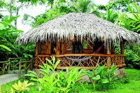 Hotel la Costa de Papito - Airport Shuttle