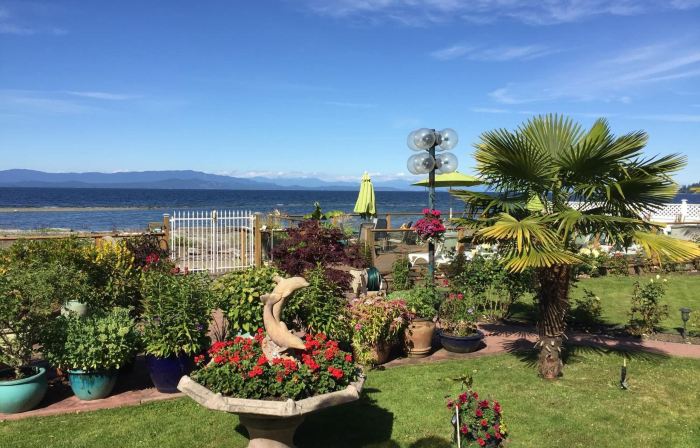 Buena Vista by the Sea