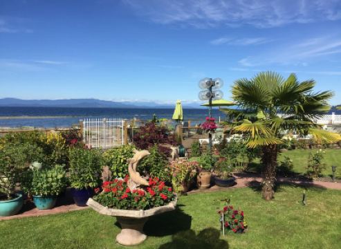 Buena Vista by the Sea