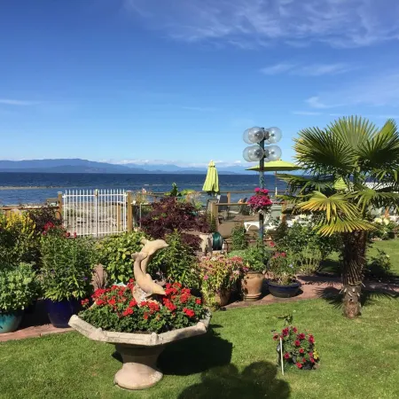 Buena Vista by the Sea