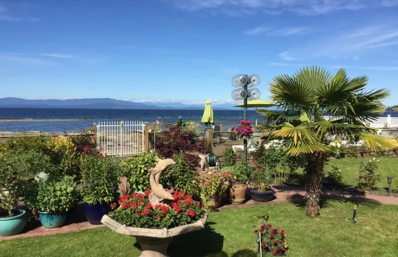 布埃納文圖拉海濱