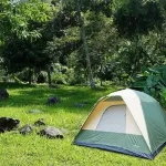 Glamping Furesa Experience - Hostel Hotels in 