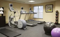 Homewood Suites by Hilton Chicago-Lincolnshire - Gym