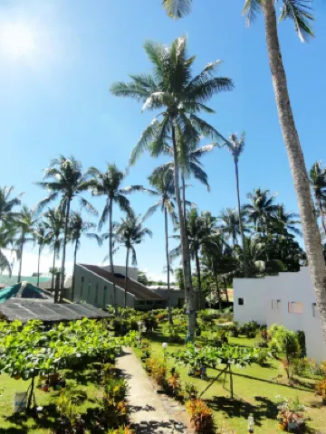 Fiesta Resort Hoteles en 