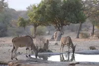 Maralal Safari Lodge Hotel di Maralal