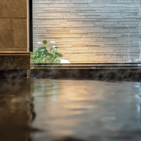 Super Hotel Premier Nagoya Sakuradoriguchi