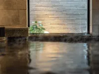 Super Hotel Premier Nagoya Sakuradoriguchi - avec sources thermales
