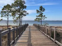 Sun, sand, and seaside: Enjoy nature and the beach life at the Forgotten Coast.