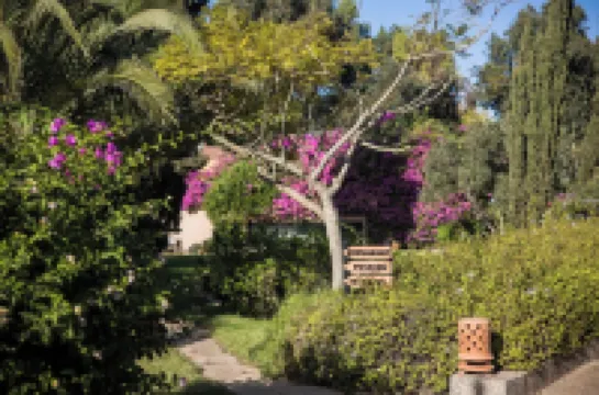 다르 마크툽  호텔