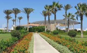 Ghazala Resort and Spa