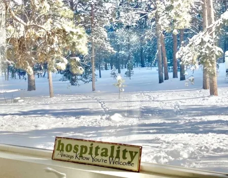 Peaceful Forest feel 5ac, Comfy 3bd Monument hidden but close, Deer, USAFA 10mi Отели рядом с достопримечательностью «Парк Уотерфронт»