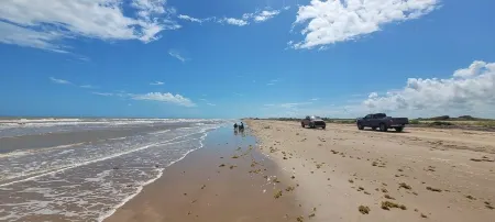 Wow This View!! Watch Dolphins Swim & Swing Downstairs with Gulf & Beach Views!