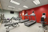 Embassy Suites by Hilton Cleveland Rockside - Gym