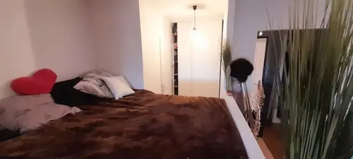 Quiet, cozy nest opposite a park, close to public transport...