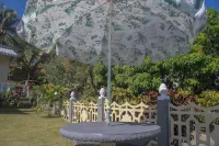 Sweet Singing Birds Villa Hotels in Reading