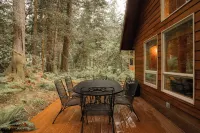 Family Cabin on Quiet Cul-de-Sac with Hot Tub and Cedar Sauna near Mt Baker