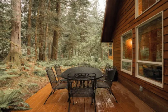 Family Cabin on Quiet Cul-de-Sac with Hot Tub and Cedar Sauna near Mt Baker