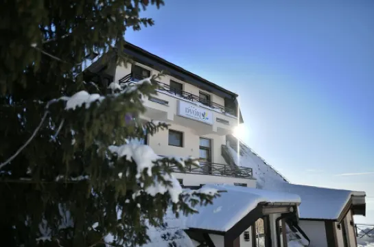 Apartments Dvori Kopaonik Hotels in Municipality of Raska