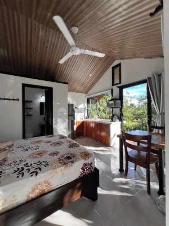 Studio in Ojochal, stunning!!