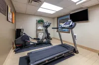 Comfort Inn & Suites Geneva- West Chicago - Gym