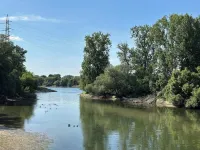 Charming apartment with air conditioning, WiFi, smart TV surrounded by greenery Hotels in Rhein-Pfalz-Kreis