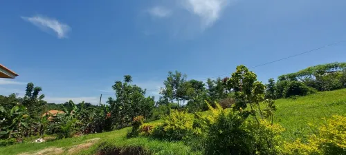 Cozy home. Hotels in Kyadondo