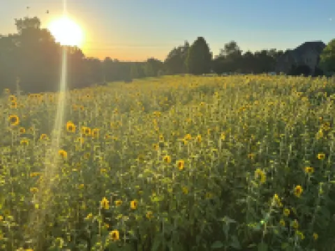 Charming 3-bedroom house located in Cottontown just 20 miles from Nashville