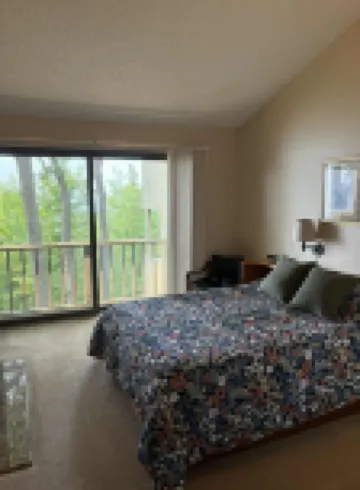 Homestead Condo, Beautiful View of Lake MI & Manitou Island