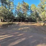 Rustic/ modern peaceful cabin. Excellent ambiance.