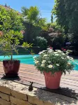 Maison d'hôtes - Une Odeur de Tilleul - Pools
