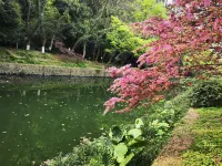 Xiaozhu Pianke Homestay (Zhongshan South Road) - Condos