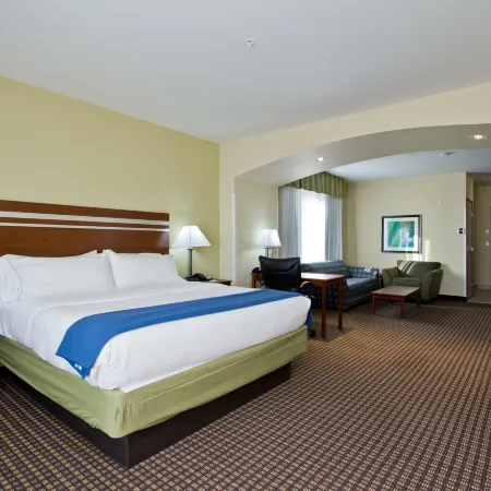 Holiday Inn Express & Suites DENVER EAST-PEORIA STREET by IHG