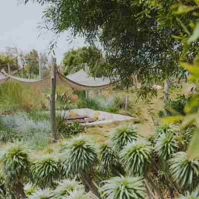 Sofitel Agadir Thalassa Sea & Spa Hotel Exterior