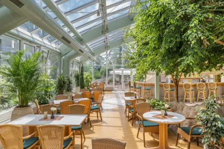 IFA Schöneck Hotel & Ferienpark Отели в г. Фалькенштайн