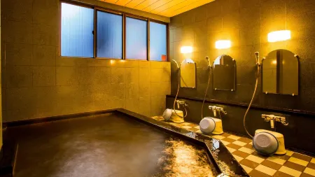 Iyashi No Yado Koemon Отели в г. уезд Миката