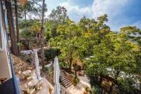 Alberi Del Paradiso - Ocean View