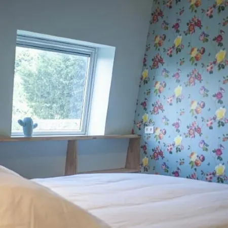 Gîte Cosy et Calme, Avec spa et Jardin, au Cœur de Morlaix