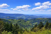 Cozy Hirschlein Vacation Apartment with Black Forest View in Baiersbronn